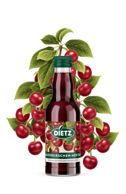 Dietz Sauerkirschsaft 12x0,25l